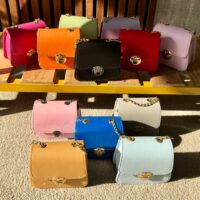 کیف مینی سگکدار بند زنجیری